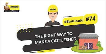 Building a Cowshed: Cowshed Construction Tips | UltraTech Cement