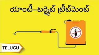 నిర్మాణానికి ముందే చెదల నివారణ - అల్ట్రాటెక్ సిమెంట్ | Anti-Termite Treatment | Telugu