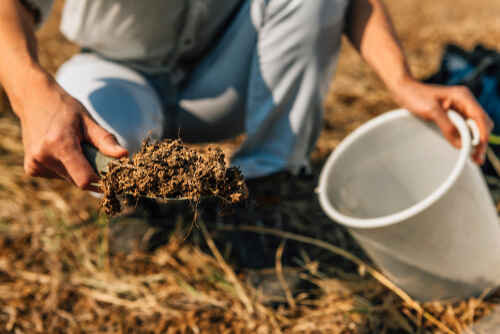 Stages of Soil Exploration - Soil Testing